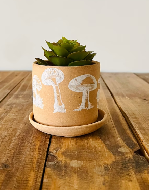 Mushroom Succulent Pot by Hands on Ceramics