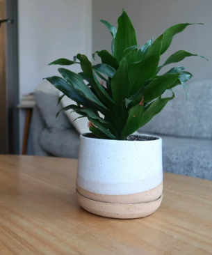 4" White Speckled Planter by Hands on Ceramics