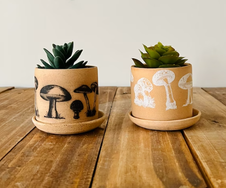 Mushroom Succulent Pot by Hands on Ceramics