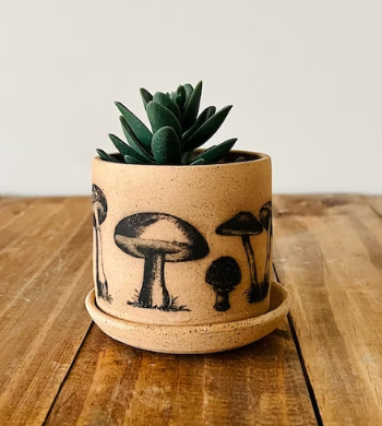 Mushroom Succulent Pot by Hands on Ceramics