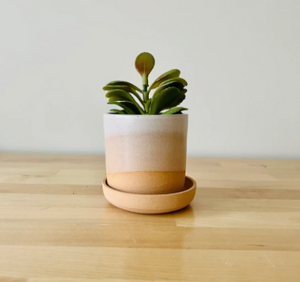 Succulent Pot by Hands on Ceramics