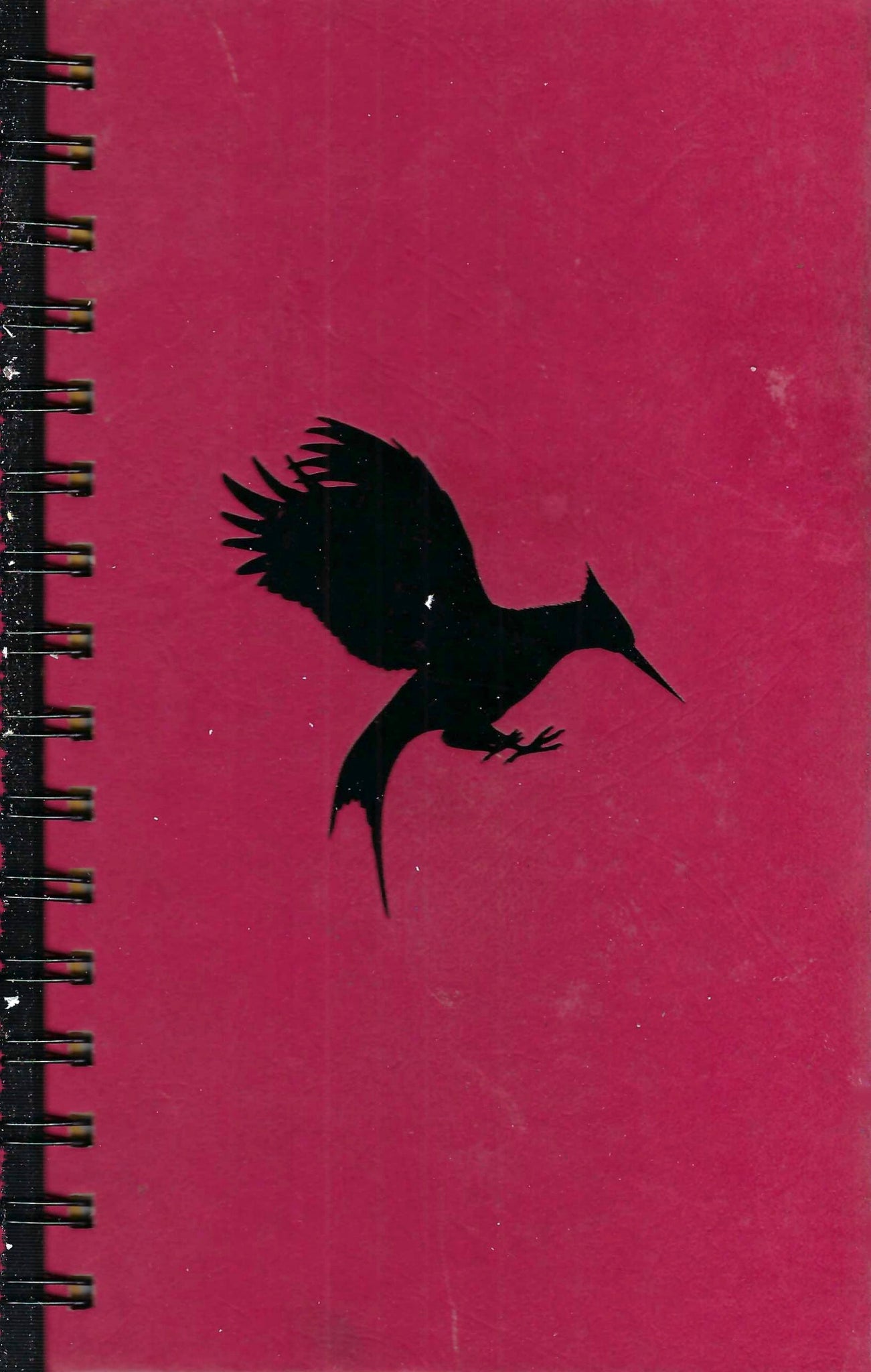 "Catching Fire" Journal by Attic Journals